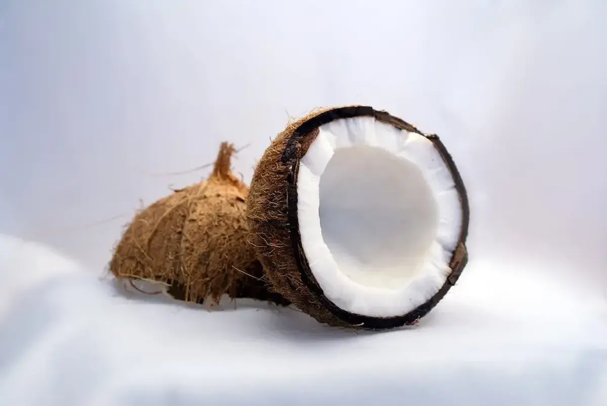 Jakie są zastosowania mleka kokosowego i jak korzystać z niego w codziennej diecie?